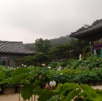 P7070652