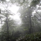 P7030343