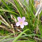 P7030392